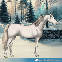 Horse Color:Smoky Creme Dun 