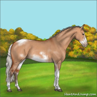 Horse Color:Silver Bay Dun Sabino Tobiano Frame Rabicano 