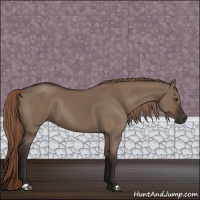 Horse Color:Liver Red Dun Rabicano 