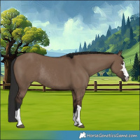 Horse Color:Liver Red Dun Rabicano 