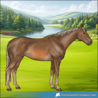 Horse Color:Chocolate Palomino 