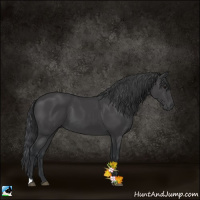 Horse Color:Black 