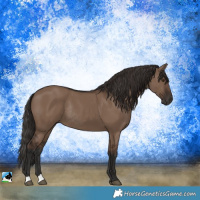 Horse Color:Liver Red Dun Rabicano