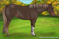 Horse Color:Liver Chestnut  and Liver Chestnut 