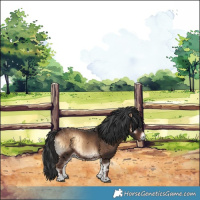 Horse Color:Liver Red Onyx Brindle 