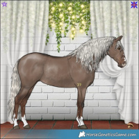 Horse Color:Liver Red Dun Mushroom Rabicano 