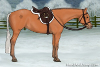 Horse Color:Silver Bay 