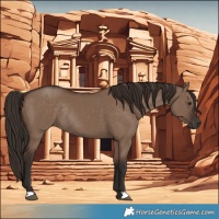 Horse Color:Liver Red Dun Rabicano 
