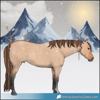 Horse Color:Painted Bay Roan Dun 