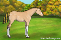 Horse Color:Painted Bay Dun 