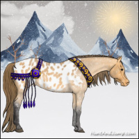 Horse Color:Buckskin Roan Appaloosa 