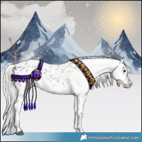 Horse Color:Silver Smoky Grullo Roan Appaloosa 