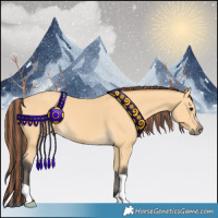Horse Color:Painted Buckskin 