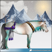 Horse Color:Gray Amber Champagne Roan 