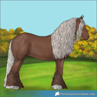 Horse Color:Silver Black 