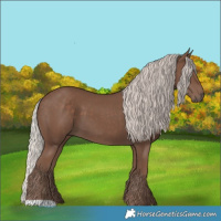 Horse Color:Silver Black 