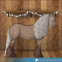 Horse Color:Silver Grullo Rabicano 