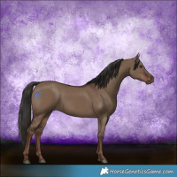 Horse Color:Liver Red Dun Rabicano 
