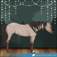 Horse Color:Liver Red Dun Roan Rabicano 