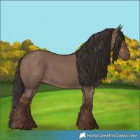 Horse Color:Liver Red Dun Rabicano 