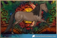 Horse Color:Liver Red Dun Rabicano 