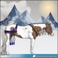 Horse Color:Silver Black Tobiano 