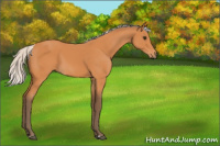 Horse Color:Silver Bay 