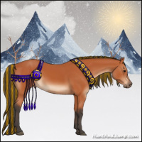 Horse Color:Painted Bay 