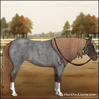 Horse Color:Liver Red Roan 