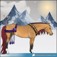Horse Color:Painted Buckskin