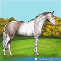 Horse Color:Gray Silver Black Pearl Tobiano 