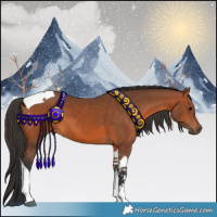 Horse Color:Bay Tobiano 