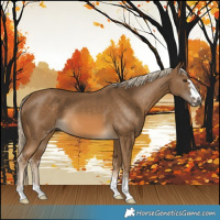 Horse Color:Chocolate Palomino 