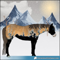 Horse Color:Buckskin Sabino Splash 