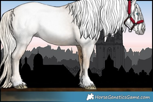 Horse Color:Gray Palomino Pearl 
