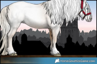 Horse Color:Gray Palomino Pearl 