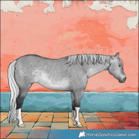 Horse Color:Silver Brown Chinchilla Dun 