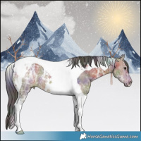 Horse Color:Nacre Brown Ice Tobiano 