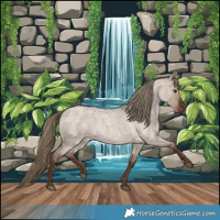 Horse Color:Liver Red Dun Roan Rabicano 