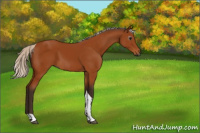 Horse Color:Gray Silver Bay Tobiano 