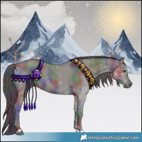 Horse Color:Nacre Grullo 