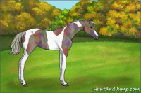 Horse Color:Nacre Silver Black Tobiano 
