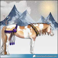 Horse Color:Red Onyx Splash Tobiano 