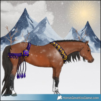 Horse Color:Bay Tobiano