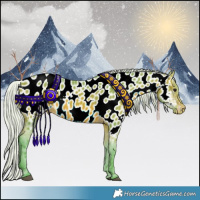 Horse Color:Watercolor Silver Bay Appaloosa 
