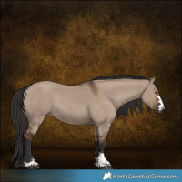 Horse Color:Liver Red Dun Rabicano 