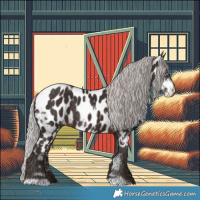 Horse Color:White Spotted Silver Brown Mushroom Appaloosa