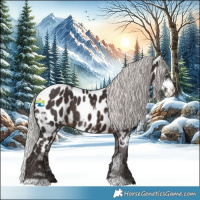 Horse Color:White Spotted Silver Brown Mushroom Appaloosa 
