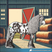 Horse Color:White Spotted Silver Brown Mushroom Appaloosa