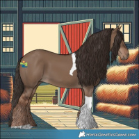 Horse Color:Liver Red Dun Tobiano Rabicano 